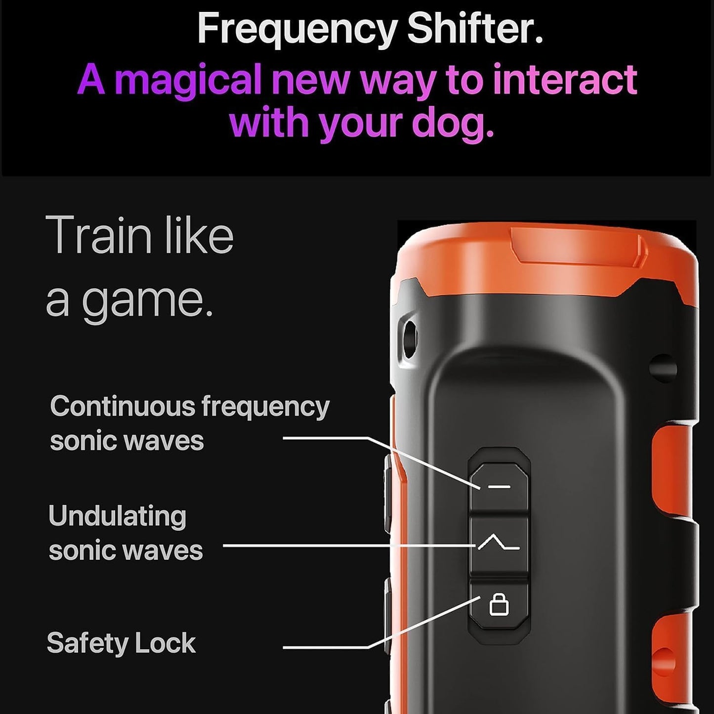 New Dog Trainer