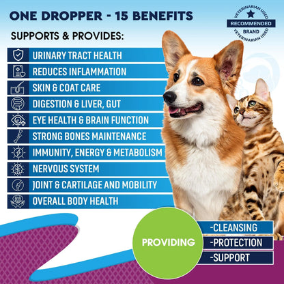 Cat And Dog Multivitamin Liquid With Glucosamine & Cranberry 15 In 1 Health Supplements For Urinary Tract Kidney Bladder Hip And Joint Skin And Coat 60 Ml