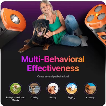 New Dog Trainer