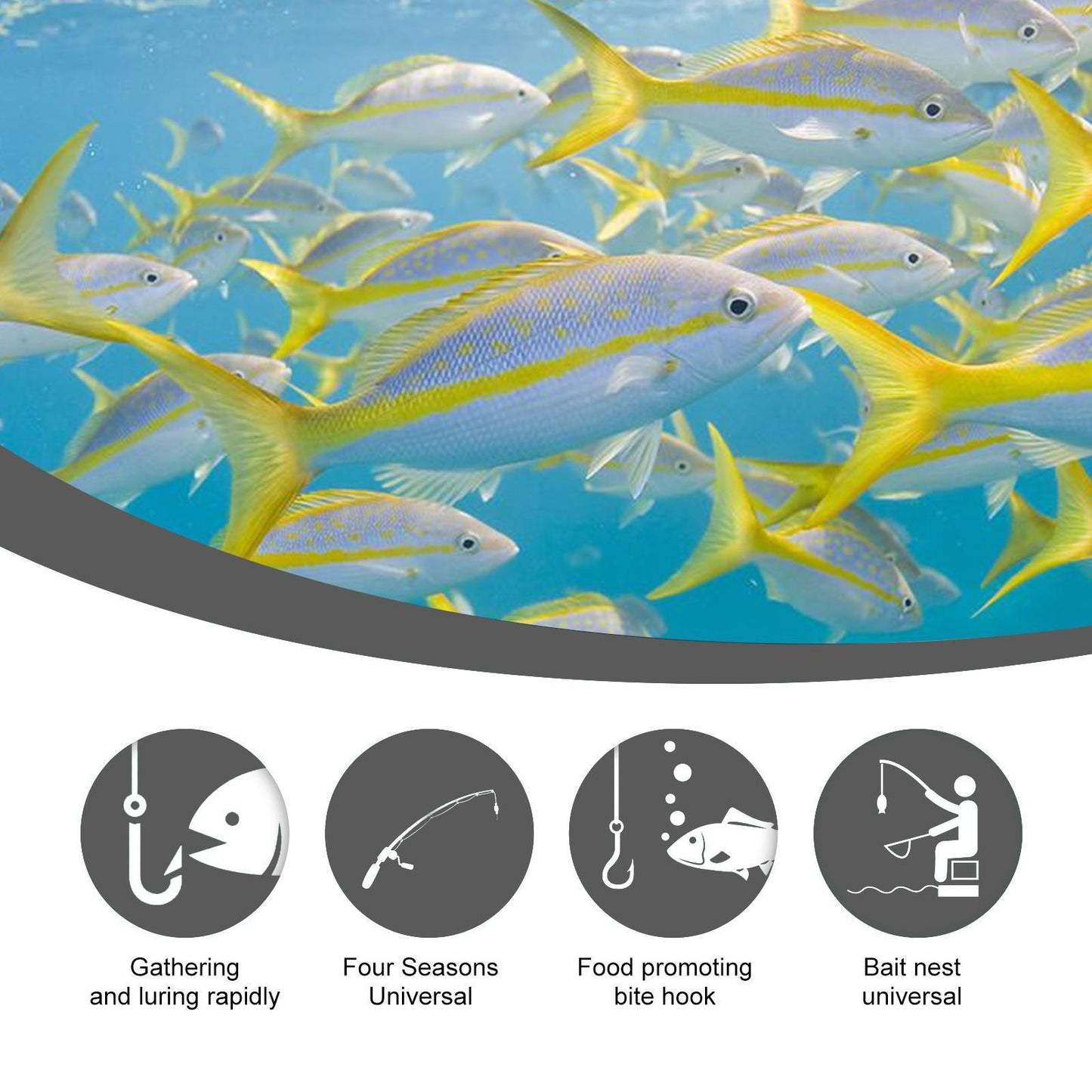 Yebang Corn Fish Bait, Portable Fish Bait For Reservoir Fishing
