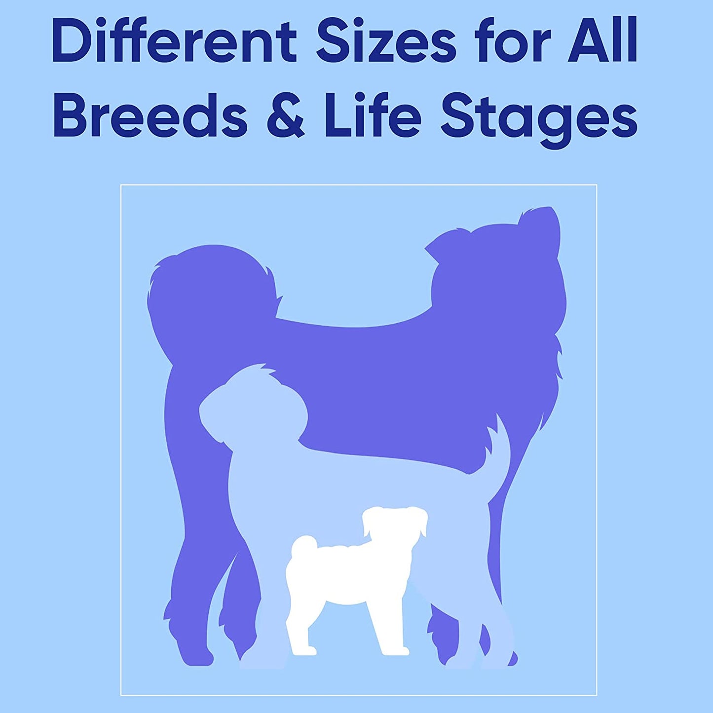 Solid 6 Ft Pink Dog Leash M/L Custom Name and Phone Embroidery Strong Nylon Leash for Medium and Large Breeds