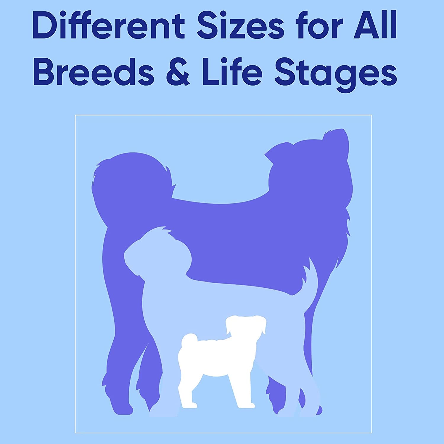 Solid 6 Ft Pink Dog Leash M/L Custom Name and Phone Embroidery Strong Nylon Leash for Medium and Large Breeds