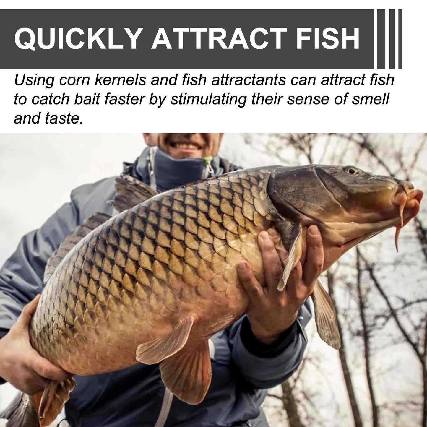 Yebang Corn Fish Bait, Portable Fish Bait For Reservoir Fishing