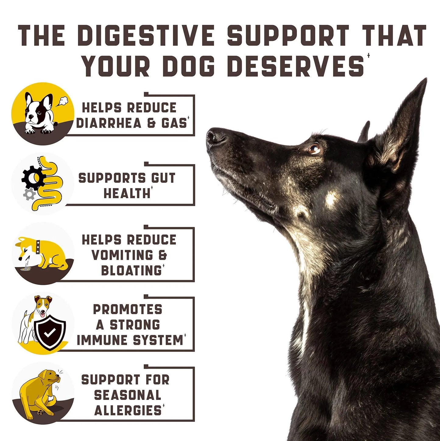 Probiotics For Dogs Support Gut Health Itchy Skin Allergies Yeast Balance Immunity Dog Probiotics And Digestive Enzymes For Small Medium And Large Dogs 180 Probiotic Chews For Dogs Duck Flavor