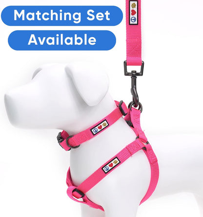 Solid 6 Ft Pink Dog Leash M/L Custom Name and Phone Embroidery Strong Nylon Leash for Medium and Large Breeds
