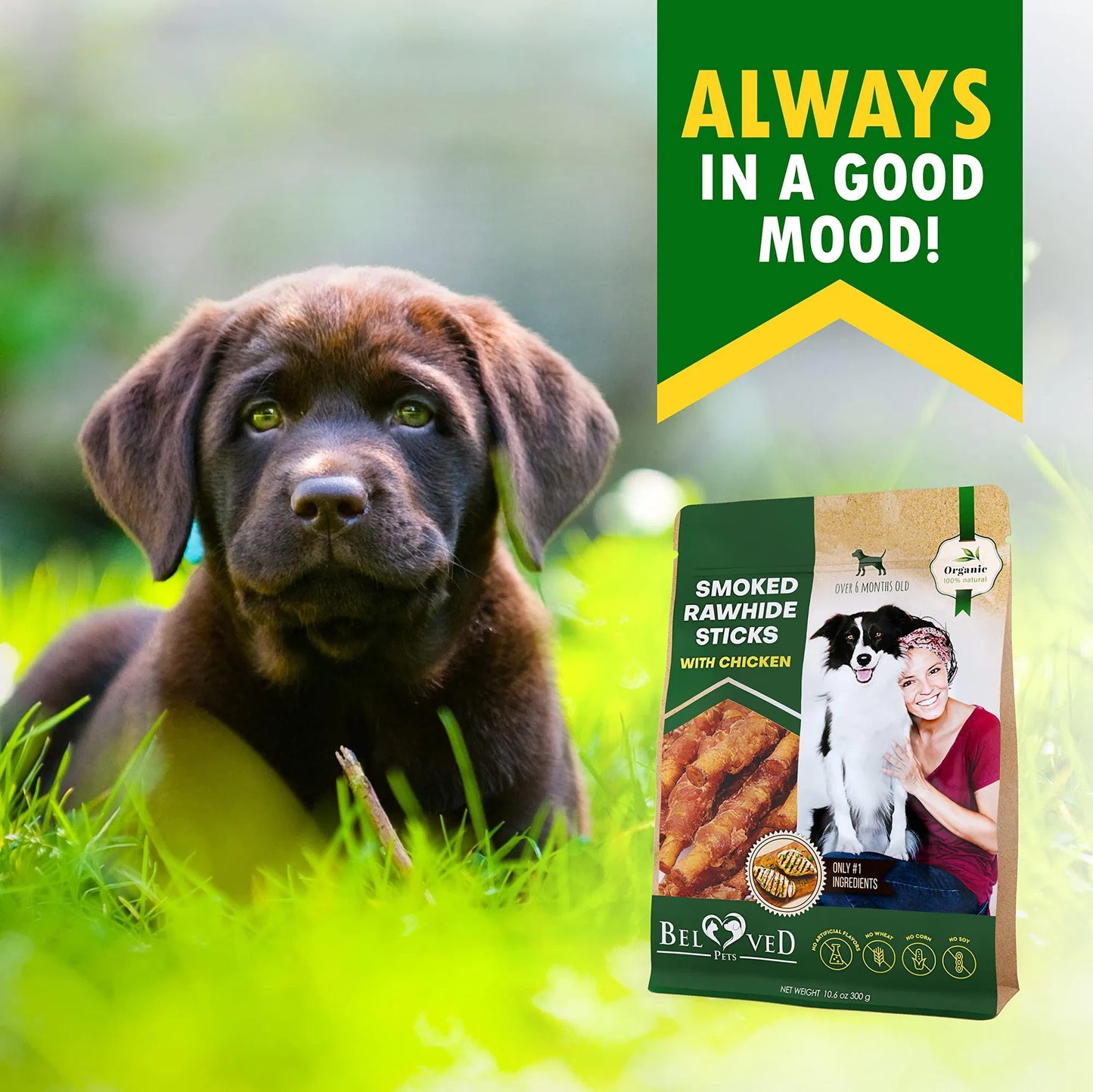 Dog Smoked Rawhide Sticks Wrapped Chicken Pet Natural Chew Treats Grain Free Organic Meat Healthy Human Grade Dried Snacks In Bulk